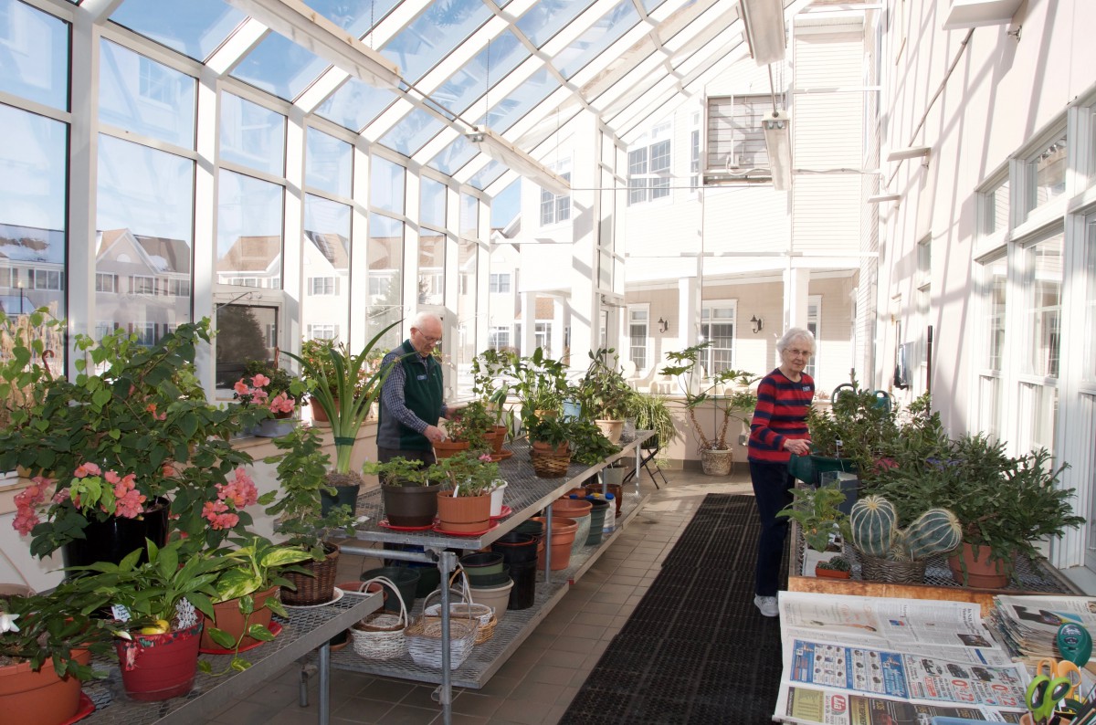Two people tending to plants inside a sunlit greenhouse.