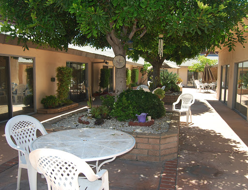 A serene courtyard with trees and outdoor seating, inviting relaxation in a sunlit environment.