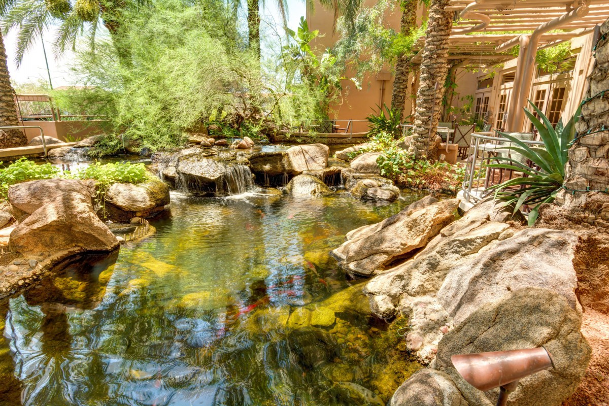 A serene garden pond surrounded by rocks and lush greenery.