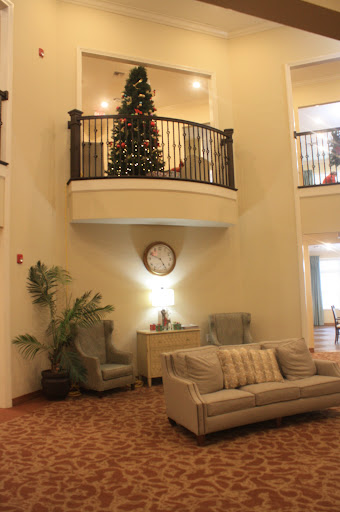 A cozy lobby featuring a decorated Christmas tree, comfortable seating, and decorative plants.