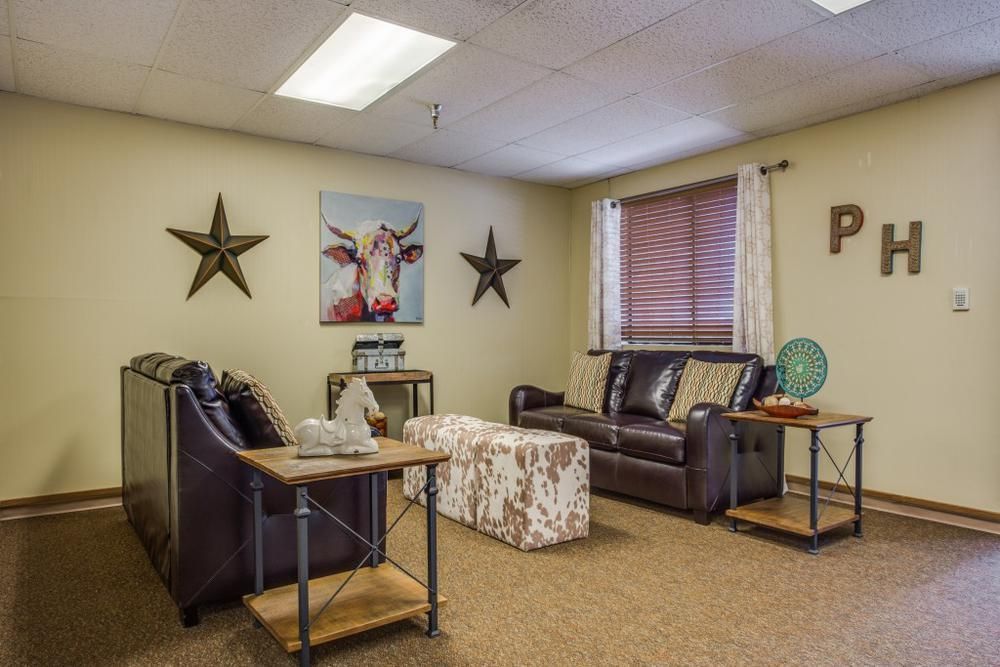 A cozy living room with leather couches, decorative stars, and a cow painting on the wall.