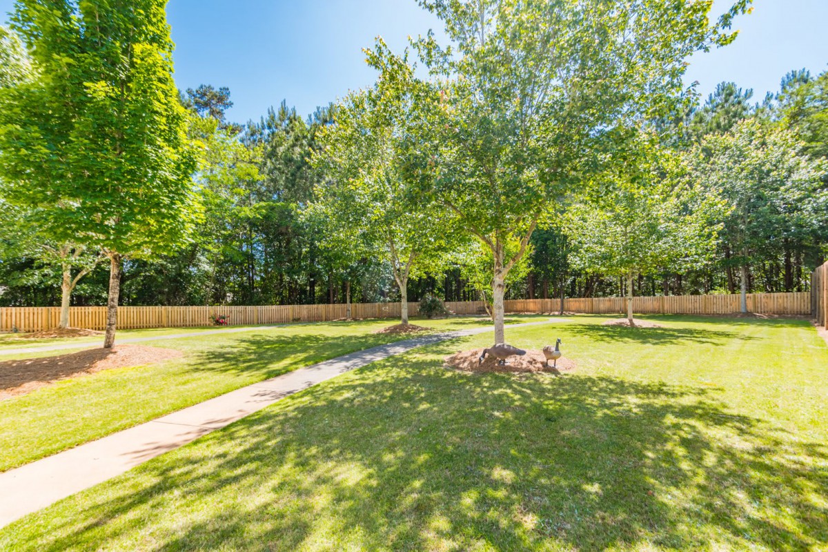 A sunny day in a park with lush green grass, trees, and a winding pathway.