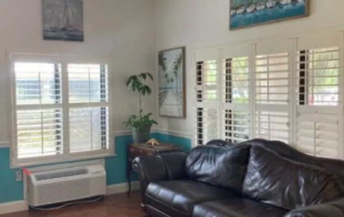 A cozy living room with a black leather sofa, indoor plant, and wall art by the windows.