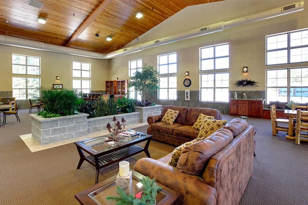 A spacious and well-lit living room featuring comfortable sofas, a wooden ceiling, large windows, and lush indoor plants.