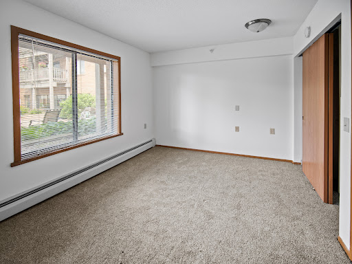 A spacious empty room with natural light streaming in through the window, featuring neutral-colored walls and a carpeted floor.