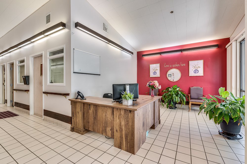 A well-organized office reception area with a wooden desk, computer, and plants enhancing the decor.