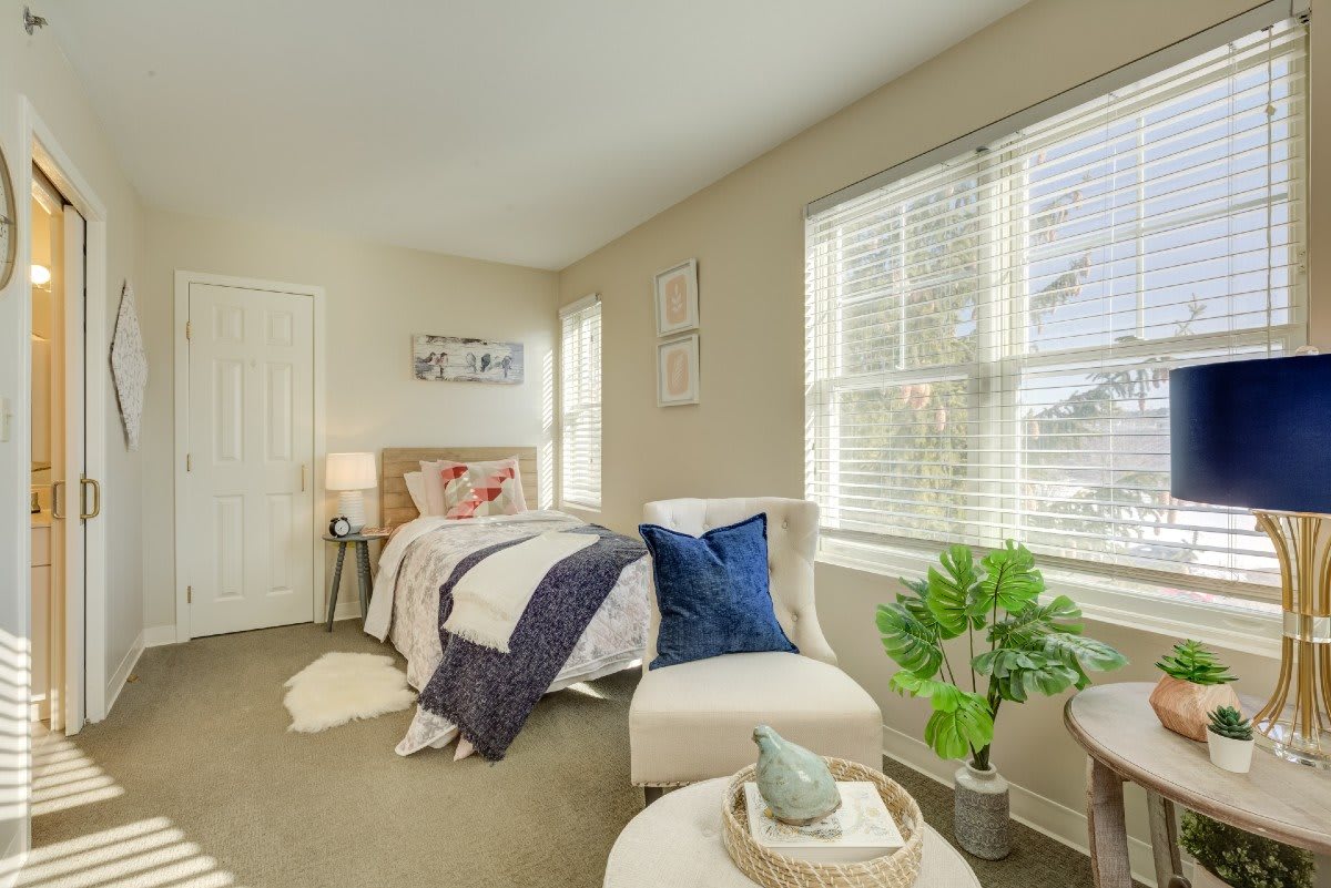 A cozy, modern bedroom filled with natural light and stylish decor.