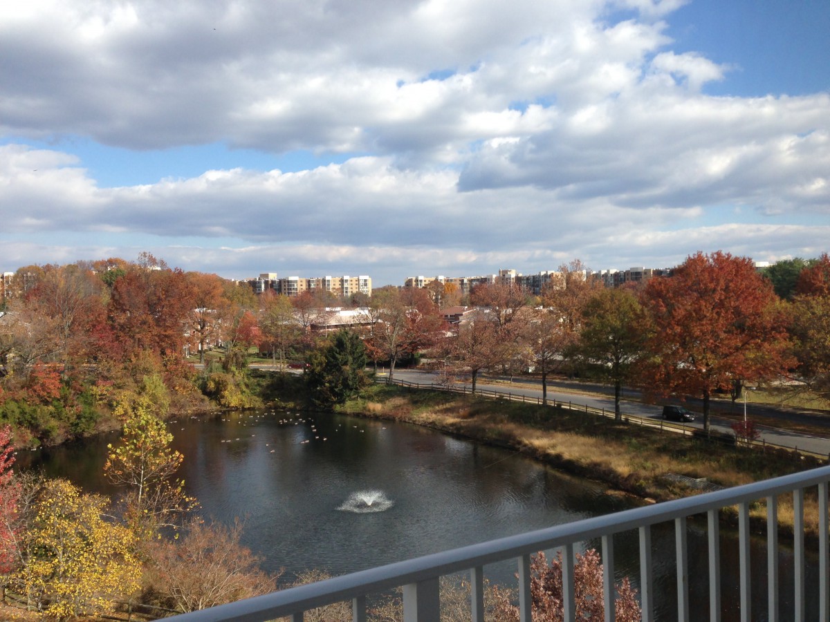 A scenic view of a park with autumn foliage and a serene lake under a cloudy sky.
