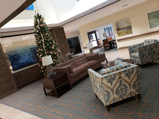 A cozy lobby space featuring comfortable seating and a festive Christmas tree.