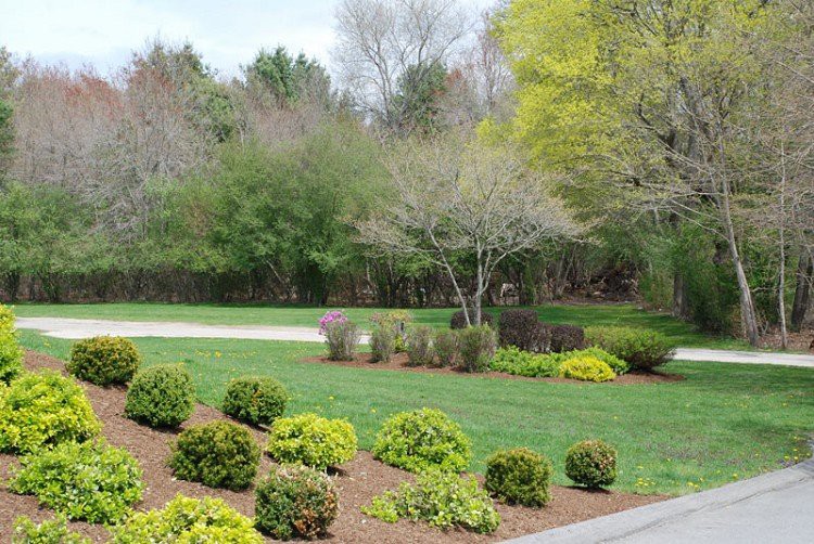 A well-maintained garden with lush grass, neatly trimmed shrubs, and trees in the background.