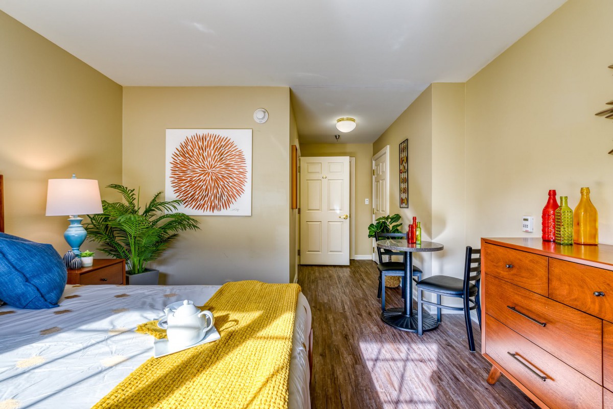 A modern bedroom with bright natural light, featuring stylish decor, a cozy bed, plants, and wall artwork.