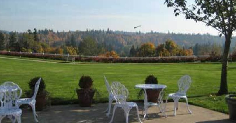 A scenic outdoor garden with a lawn, white chairs and a table, surrounded by potted plants and trees.