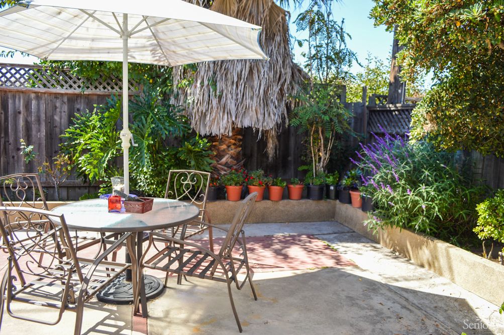 A sunny patio garden with a table and umbrella surrounded by lush plants.
