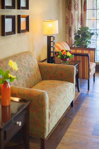 A cozy living room setup featuring a patterned sofa, a stylish lamp, and decorative plants.