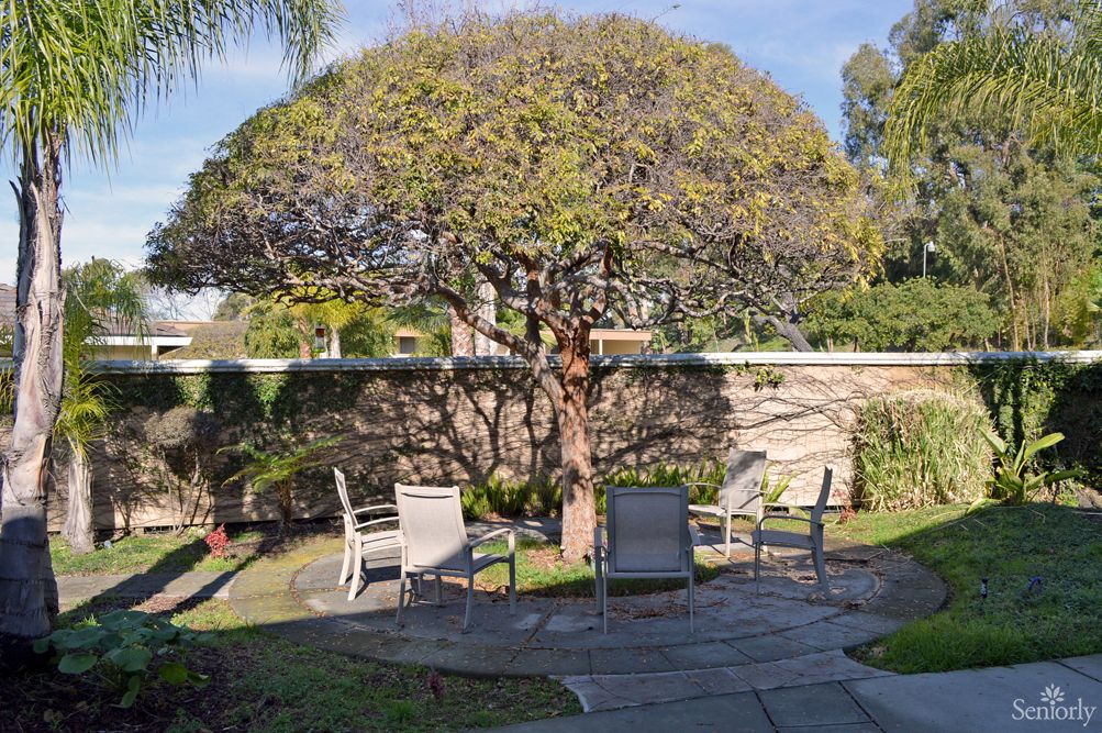 A tranquil garden setting featuring a large tree and outdoor seating under a sunny sky.