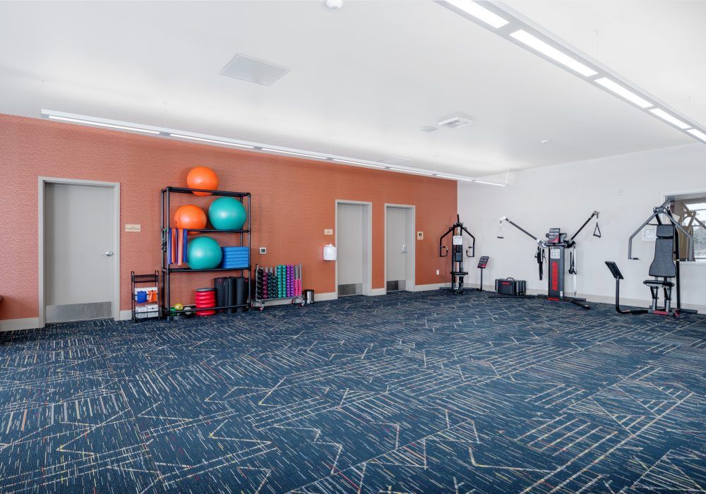 A spacious exercise room equipped with colorful fitness equipment and exercise machines.