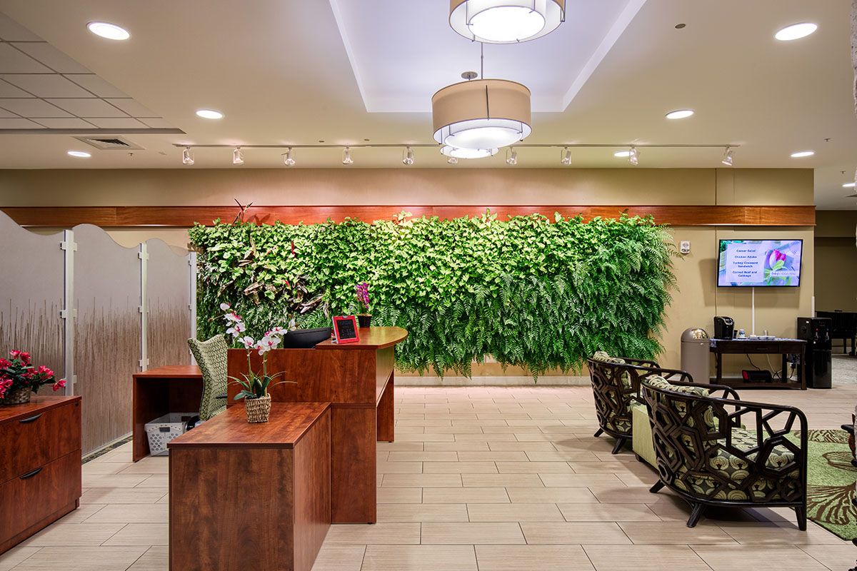 Modern office reception area with a green wall and stylish furniture.