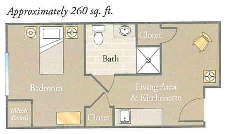Floor plan of a studio apartment measuring approximately 260 square feet, featuring a living area, kitchen, bath, and closets.