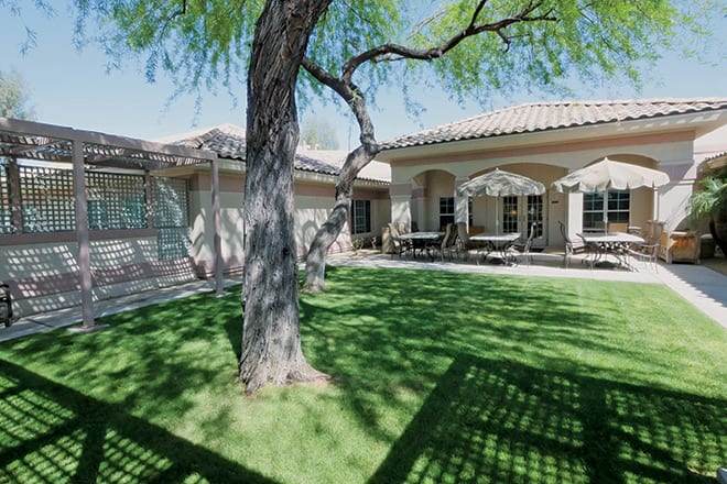 A residential backyard with a lush lawn, a large tree providing shade, and a patio area.