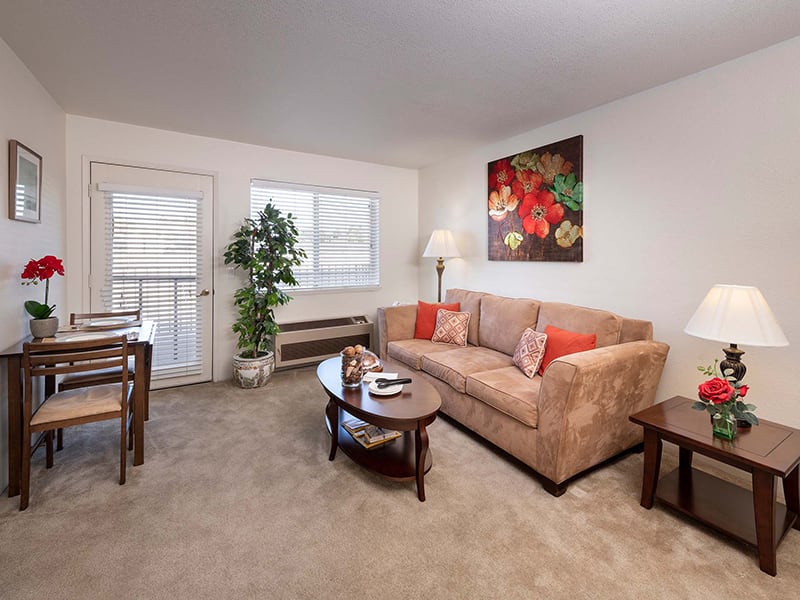 A cozy living room featuring a sofa, coffee table, and decorative elements.
