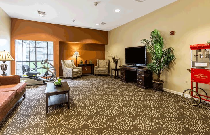 A cozy living room with armchairs, a television, and decorative plants.