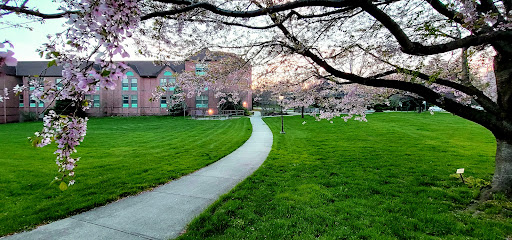 A serene pathway winding through a lush green park, framed by blooming trees and a tranquil building in the background.