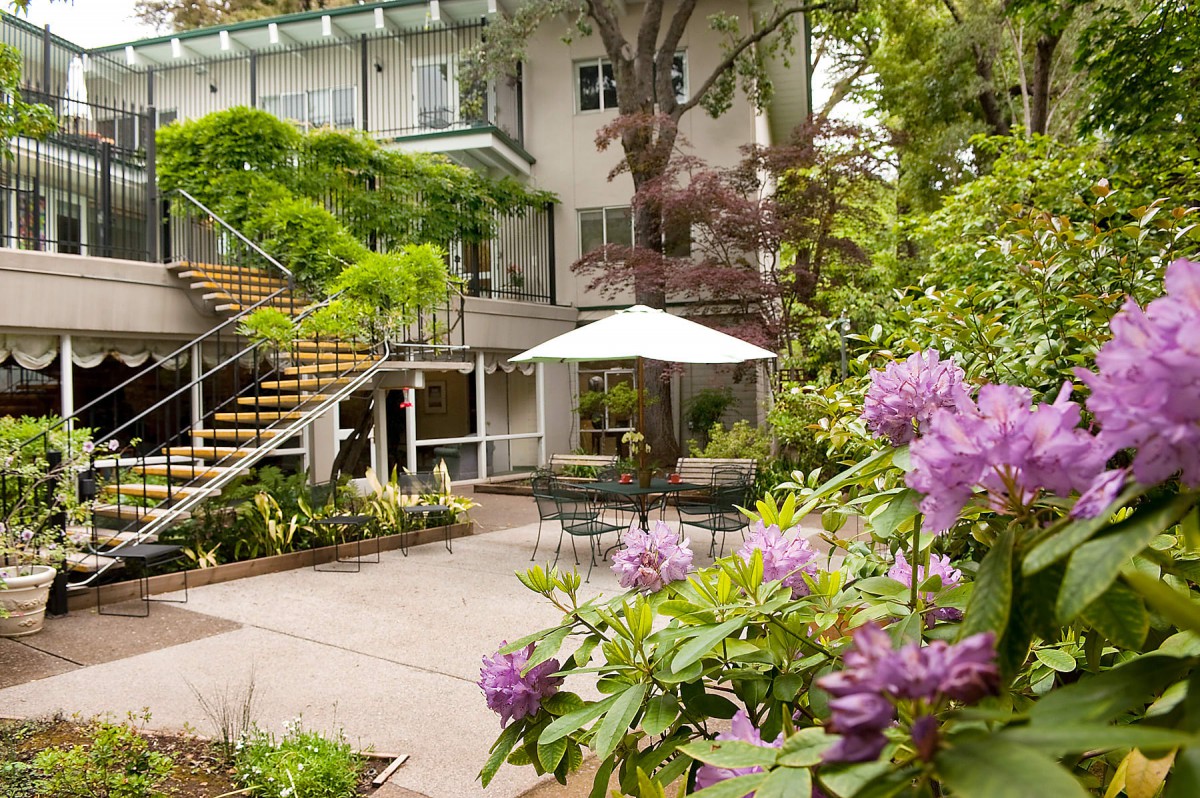 A charming garden patio with vibrant flowers and comfortable outdoor seating under an umbrella.