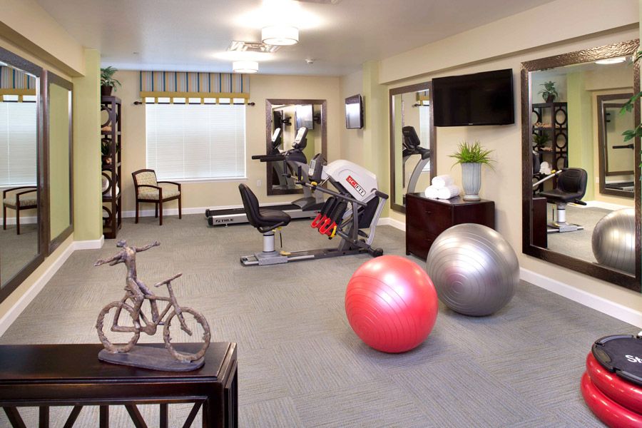 A well-equipped gym featuring exercise machines and fitness balls.