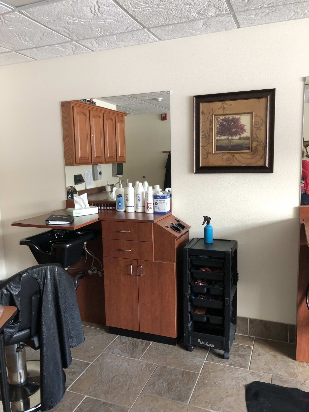 A hair salon interior featuring a styling station with various products, a mirror, and a framed picture on the wall.