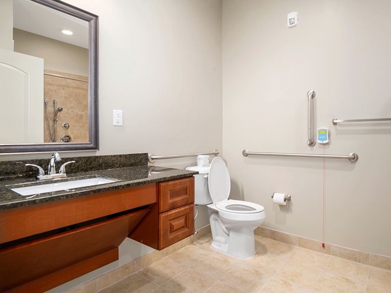 A modern, accessible bathroom with a toilet, sink, mirror, and grab bar.