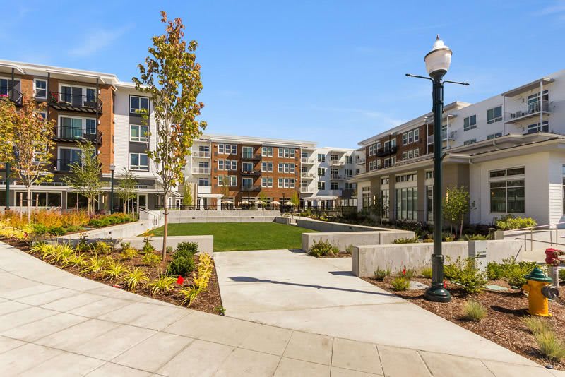 A modern apartment complex featuring landscaped outdoor spaces during the daytime.