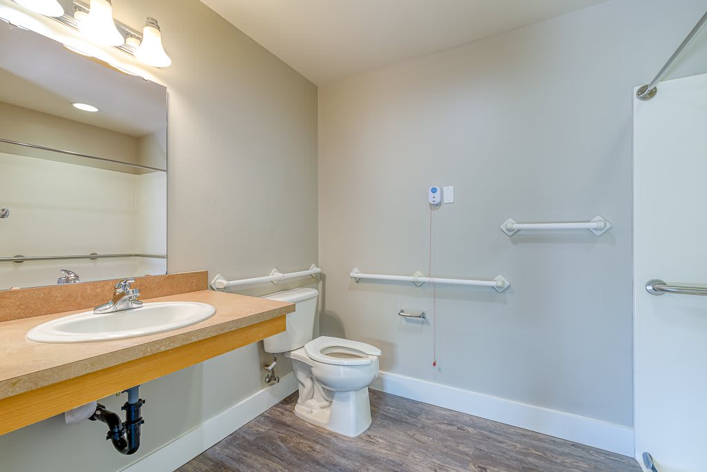 An accessible bathroom featuring a toilet, sink, and mirror, equipped with handrails for support.