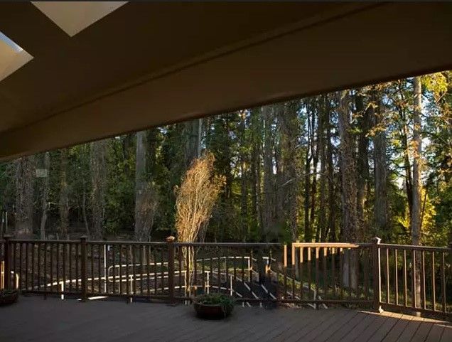 A serene outdoor deck overlooking a sunlit forest.
