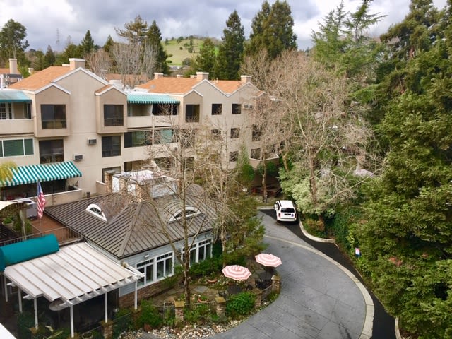 A scenic view of a hotel surrounded by trees with an overcast sky, featuring a driveway and multiple balconies.
