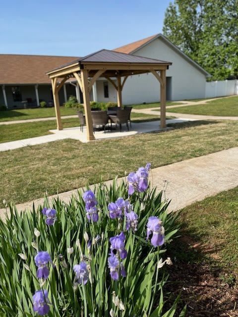 A garden scene featuring a gazebo with outdoor seating, surrounded by purple irises and grassy pathways.