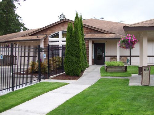A suburban house with a well-maintained lawn and sidewalk, featuring a fence and decorative trees.