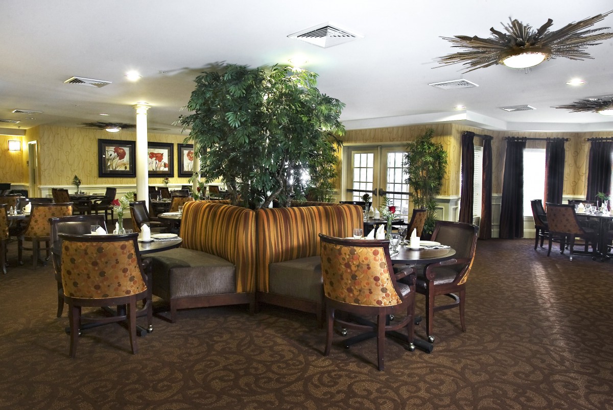 A cozy restaurant dining area with tables and chairs, surrounded by decorative plants.