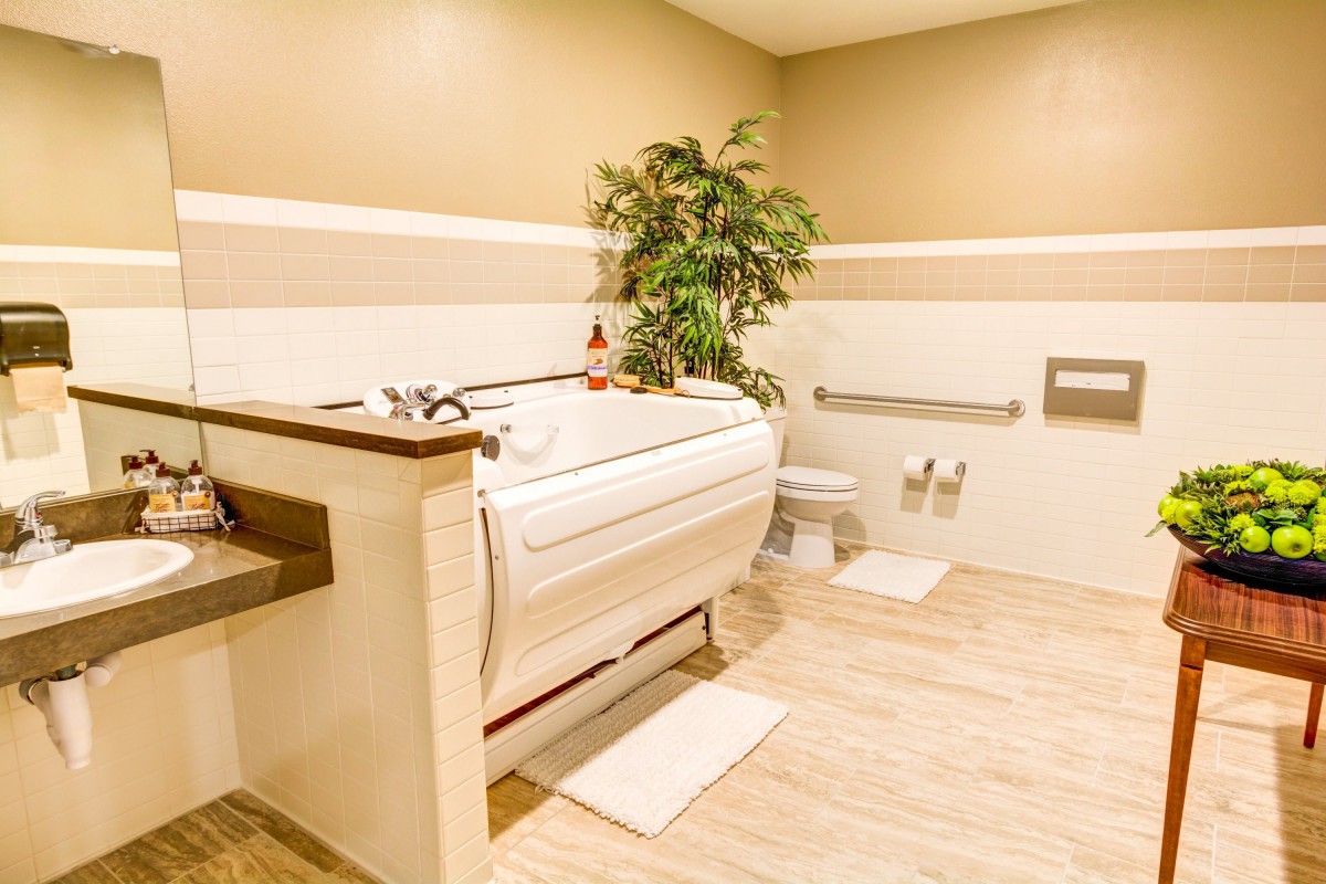 A modern, accessible bathroom featuring a walk-in bathtub and a decorative plant.