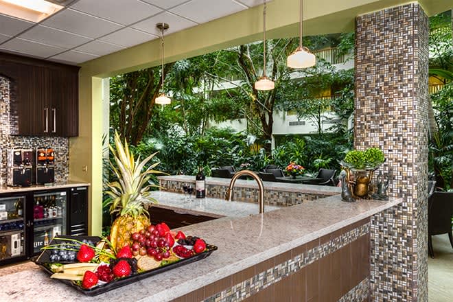 A modern kitchen with a countertop displaying fresh fruits and a scenic view of indoor plants.