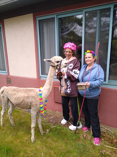 Mountain View Care And Rehabilitation Center