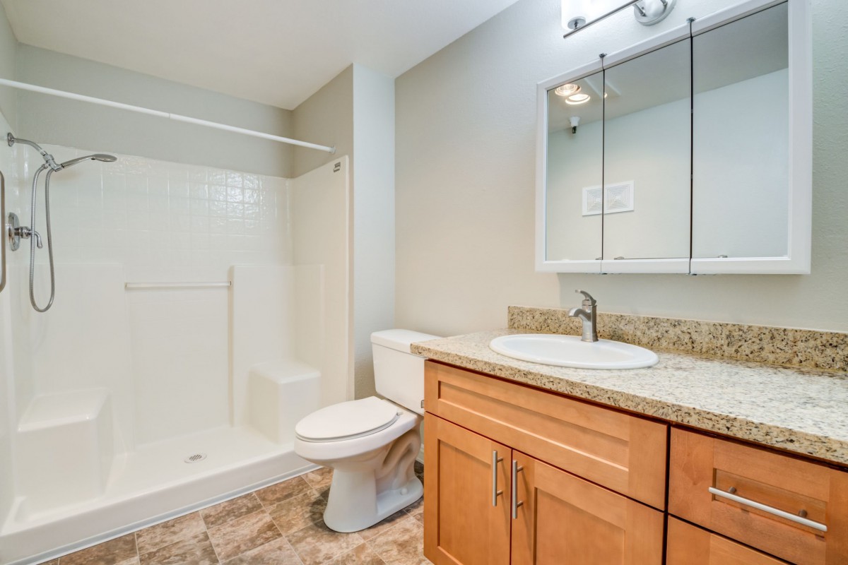 A modern bathroom with a shower, toilet, and wooden vanity.