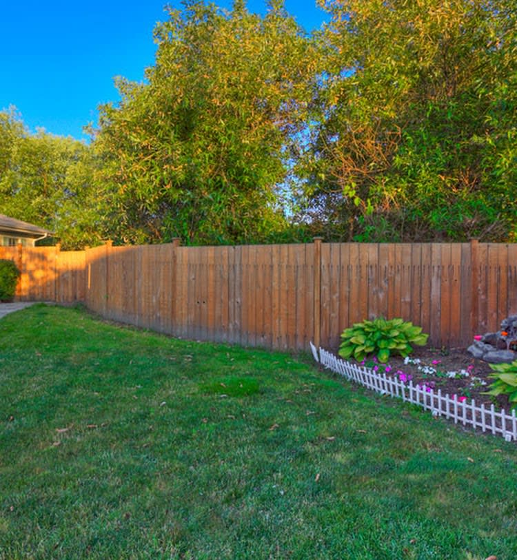 A backyard garden with a wooden fence, lush green lawn, and well-maintained vegetation.