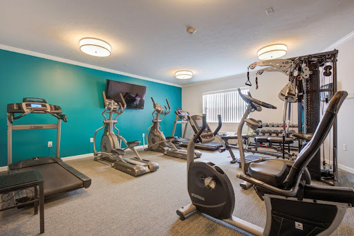 A modern gym equipped with various exercise machines and weights.