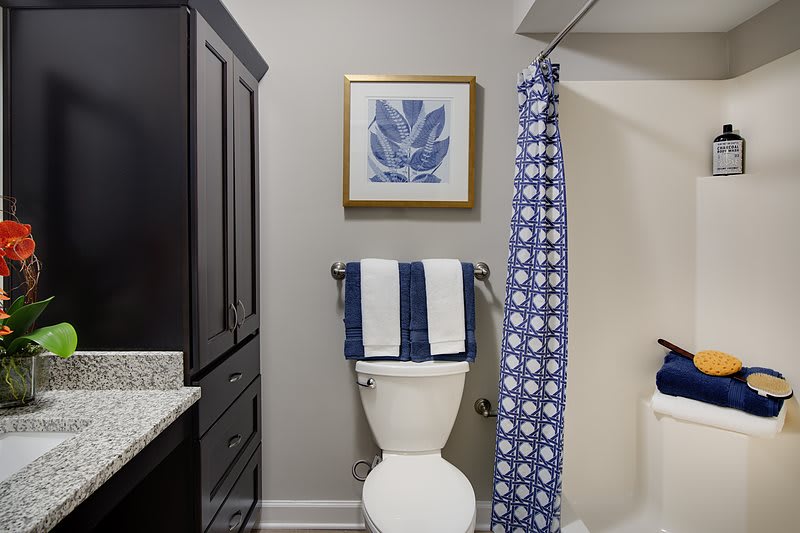 A neatly organized bathroom with a toilet, cabinet, and blue-themed decor.
