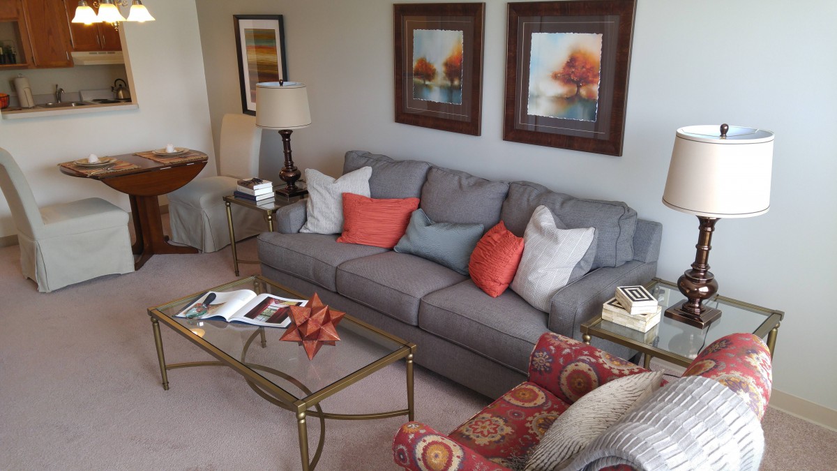 A cozy living room with a gray sofa, colorful pillows, and framed artwork on the wall.