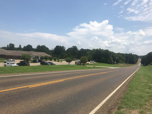 A scenic view of a rural road lined with houses under a blue sky.