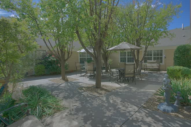 A shaded outdoor patio area with tables and chairs surrounded by trees.
