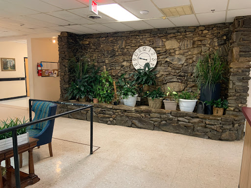 A cozy indoor space featuring a stone wall, a large wall clock, and various potted plants.