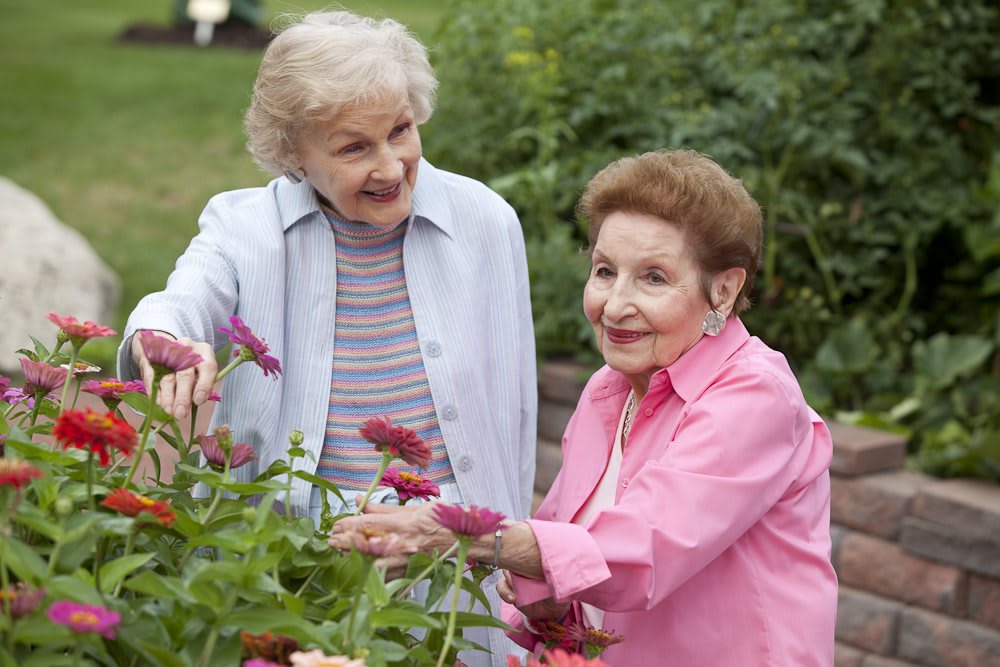 Two elderly women enjoying time in the garden among flowers.