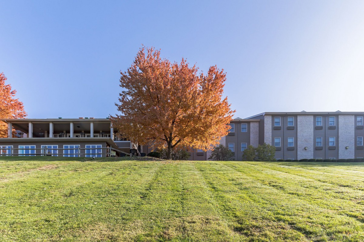 A solitary tree with vibrant autumn foliage stands in front of a building under a clear blue sky.